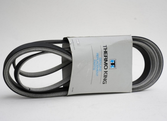 781945 THERMO KING Sabuk untuk Spektrum Seleksi
