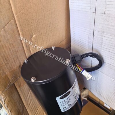 54-00691-20/54-00691-00 Suku cadang asli pembawa MOTOR EVAPORATOR tersedia untuk unit trailer HE19 berat bersih 13,11KG
