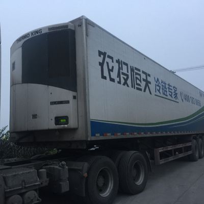 Unit Freezer Thermo King 0 Celcius SLXI 300 Untuk Pendinginan Makanan